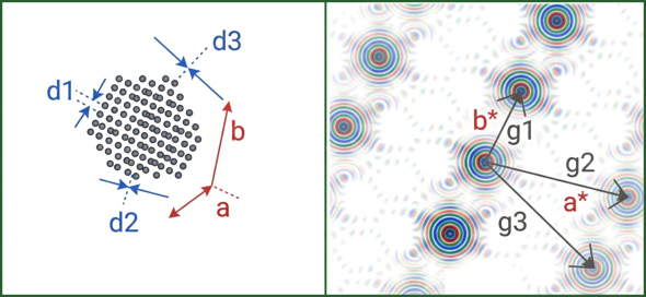 �L���v�V����