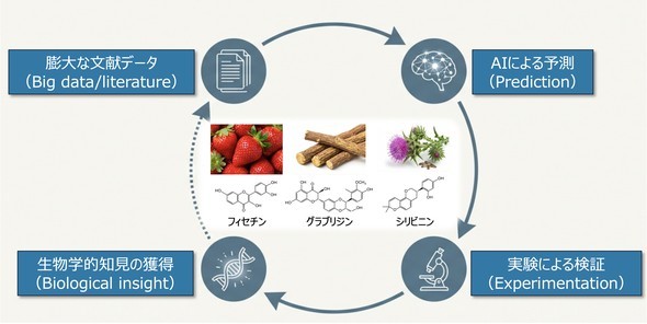 �L���v�V����