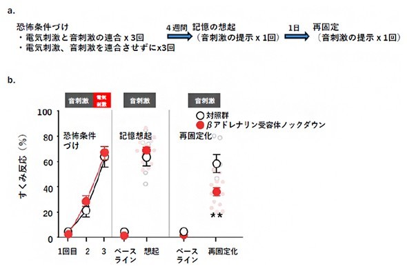 �L���v�V����