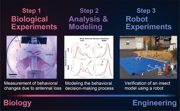 �L���v�V����