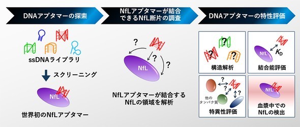 �L���v�V����