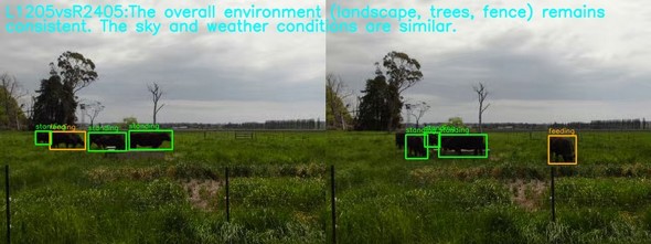 �L���v�V����