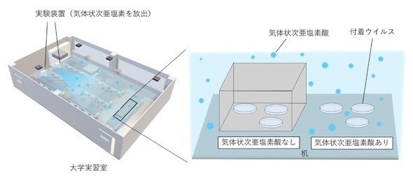 �L���v�V����