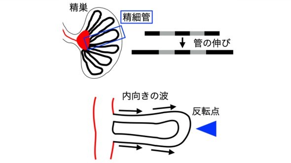 �L���v�V����