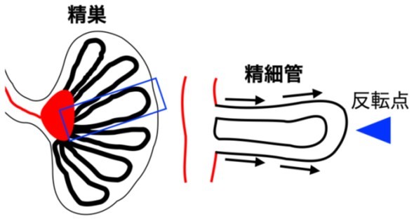 �L���v�V����