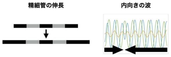 �L���v�V����