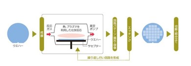 �����̂̐����v���Z�X�̗�i�����j