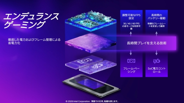 「エンデュランスゲーミング」の概要
