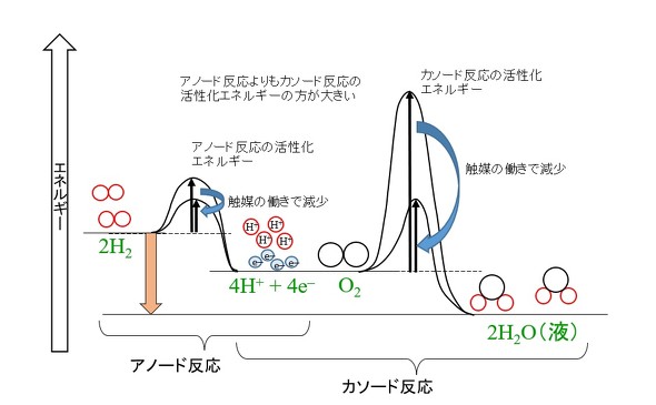 �}2�@���f�Ǝ_�f�̓d�C���w�����ɂ����銈�����G�l���M�[�̃C���[�W
