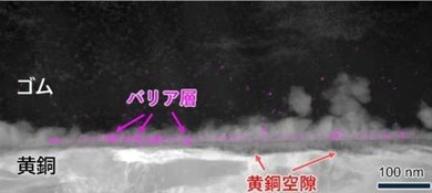 �L�@�_�R�o���g��Y�������S���Ɖ����߂����X�`�[���R�[�h�̐ڒ��E�ʂ̑������ߓd�q���������i�����\���j�ƃR�o���g���z�i�s���N�\���j