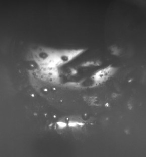 ��|253���̉t�̐��f���ɐݒu�������M�ʂ��甭������C�A�̋����𑨂����摜