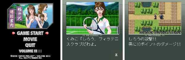 希少】 軽井沢誘拐案内 ENIX 5インチディスク版 90xi向け本格