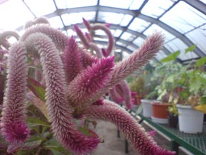 1/625bAF2.8AISO100A0EVAWBFI[gAV[FW