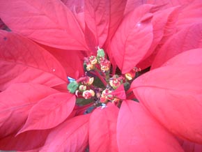 1/29.9bAFsAISOsA0EVAWBFI[gABe[hFI[gAQCRg[FȂAʑ̂Ƃ͈̋́Fs