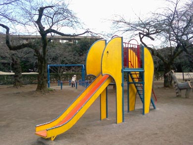 1/125bAFFsAISOFsAEVFsAWBFI[gABe[hFI[gAV[FWAʑ̂Ƃ͈̋́Fs