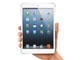 ITmediaスタッフが選ぶ、2012年の“注目ケータイ＆トピック”（ライター小林編）：「iPad mini」を買って後悔したり　「DIGNO S」で安心を手に入れたり