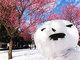 荻窪圭のiPhoneカメラ講座：第43回　iPhoneで街中の雪景色を楽しむためのコツ