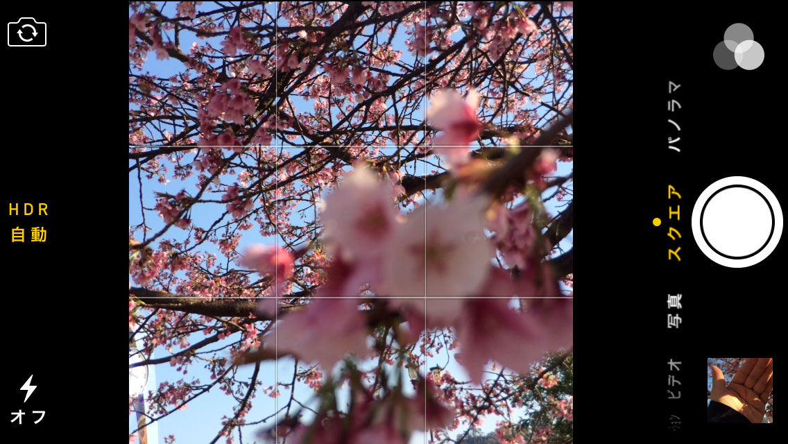 第46回 Iphoneで桜の花びらをピシッと撮る方法 1 3 Itmedia Mobile