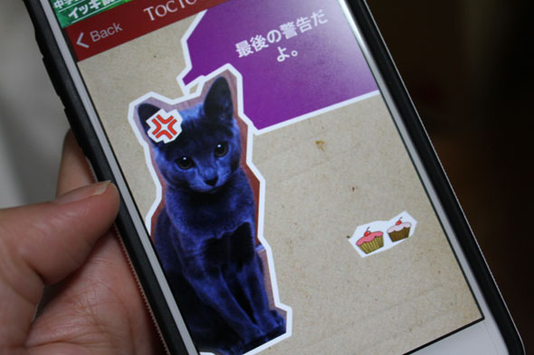 猫と会話できるアプリでうちの子をほめたり叱ったりしてみた Itmedia Mobile