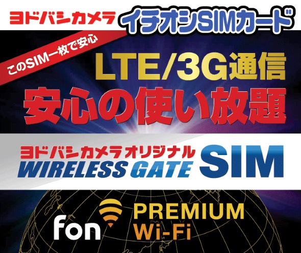 WirelessGate SIM