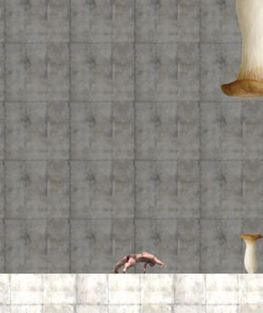 DỹIViPhoneP[X̉ɂԂ