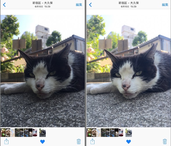 写真 Photos アプリで明るさ 色 傾きを直そう 荻窪圭のiphoneカメラ講座 1 3 ページ Itmedia Mobile