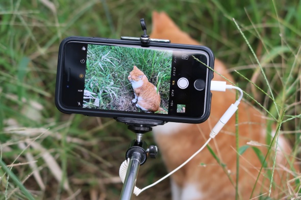 イヤフォンマイク端子のない Iphone 7 7 Plus でリモートシャッター自撮り棒を使う方法 荻窪圭のiphoneカメラ講座 Itmedia Mobile