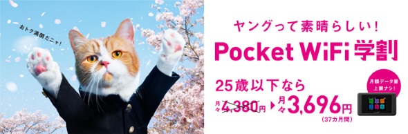 Pocket WiFiw̃oi[