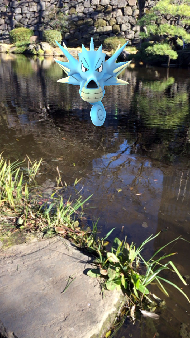 触るな危険 シードラが潜む池 みんなのポケgo写真 Itmedia Mobile