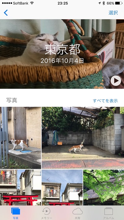 Iphoneで見たい写真を一発で見つける方法 Itmedia Mobile