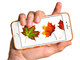 KODAWARI、天然木100％のiPhone 7／7 Plus向けケース2種を発売