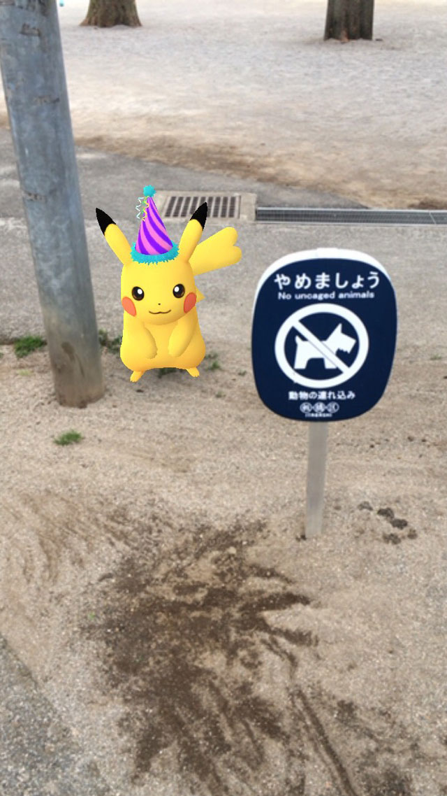 ポケモンgo傑作写真集 一番人気は予想外のあのポケモン 1 2 ページ Itmedia Mobile