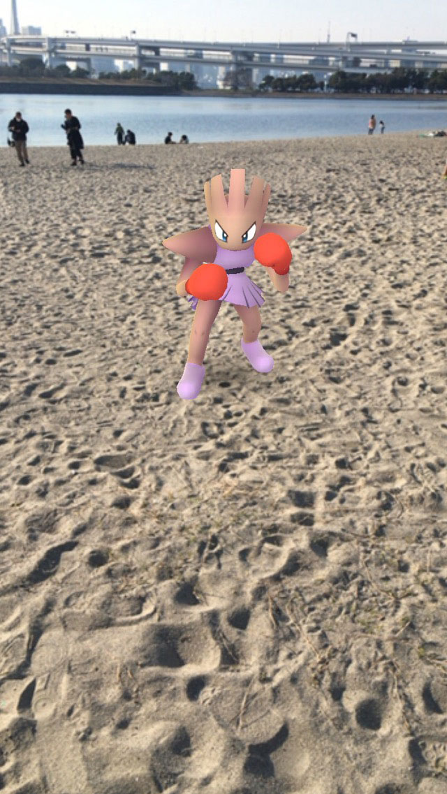 砂浜でトレーニングするパンチポケモン みんなのポケgo写真 Itmedia Mobile