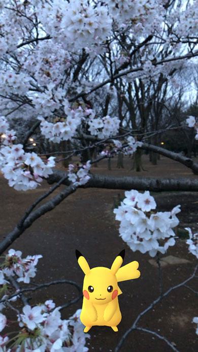 桜満開 ピカチュウとお花見チュウ みんなのポケgo写真 Itmedia Mobile