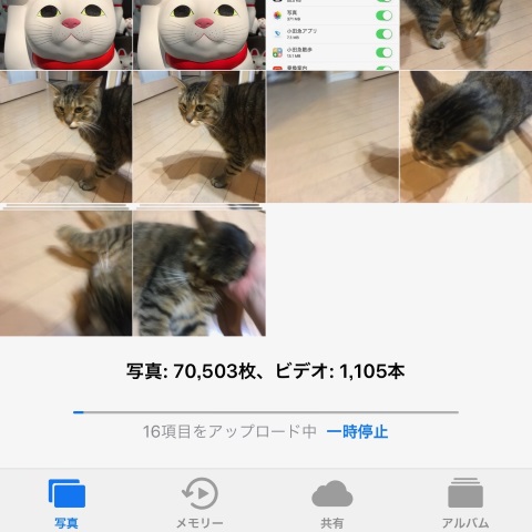 Ios 11の カメラ 写真 アプリの進化と注意点 荻窪圭のiphoneカメラ講座 2 2 ページ Itmedia Mobile