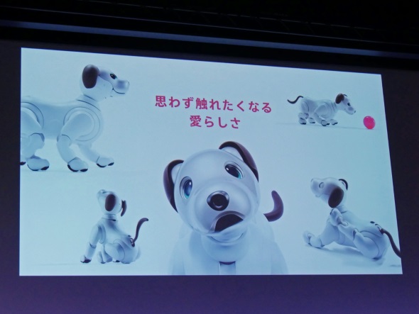 ソニーの犬型ロボット「aibo（アイボ）」復活 1月11日発売：LTEで通信 