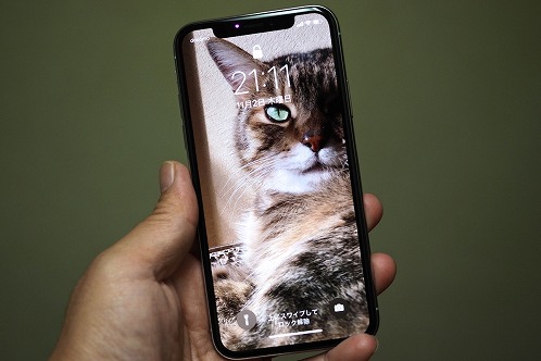 Iphone X カメラレビュー 進化した望遠カメラの実力を試す 荻窪圭の携帯カメラでこう遊べ 1 2 ページ Itmedia Mobile