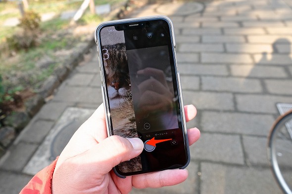 Iphone 8 Plusと徹底比較 Iphone X のカメラは何が進化したのか 荻窪圭の携帯カメラでこう遊べ 1 4 ページ Itmedia Mobile