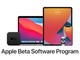 「iOS 14」「iPadOS 14」のパブリックβテストがスタート　「macOS Big Sur」も間もなく　利用契約には要注意