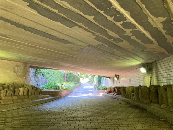 iPhone SE(第2世代)