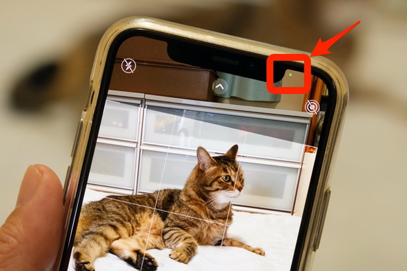 Ios 14では カメラ 写真 アプリの使い勝手が向上 細かな違いを確認した 荻窪圭のiphoneカメラ講座 1 3 ページ Itmedia Mobile