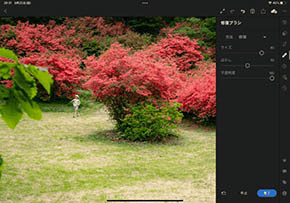 Adobe Lightroom v~A