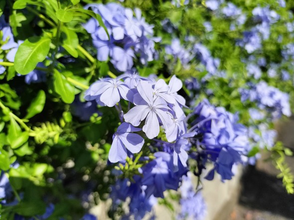 Redmi Note 11 Pro 5GOPPO Reno7 A