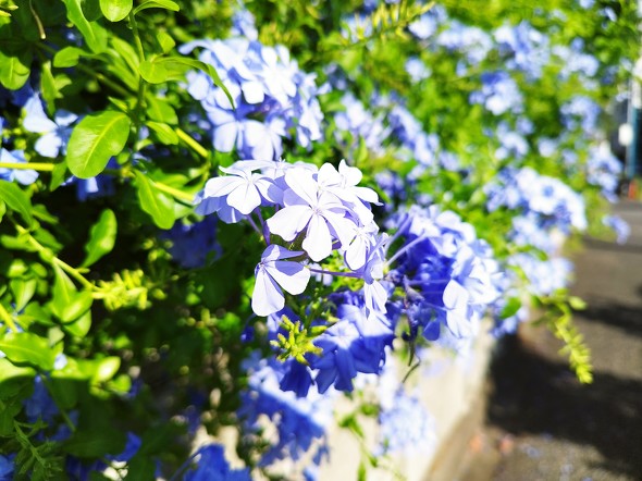 Redmi Note 11 Pro 5GOPPO Reno7 A