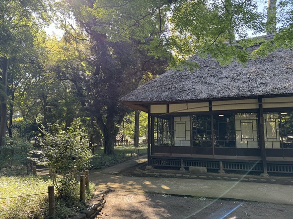 iPhone 15 Pro MaxJr[