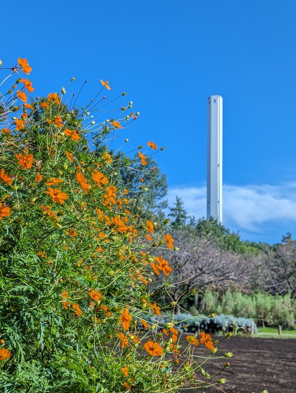 Google Pixel 8^8 ProJr[