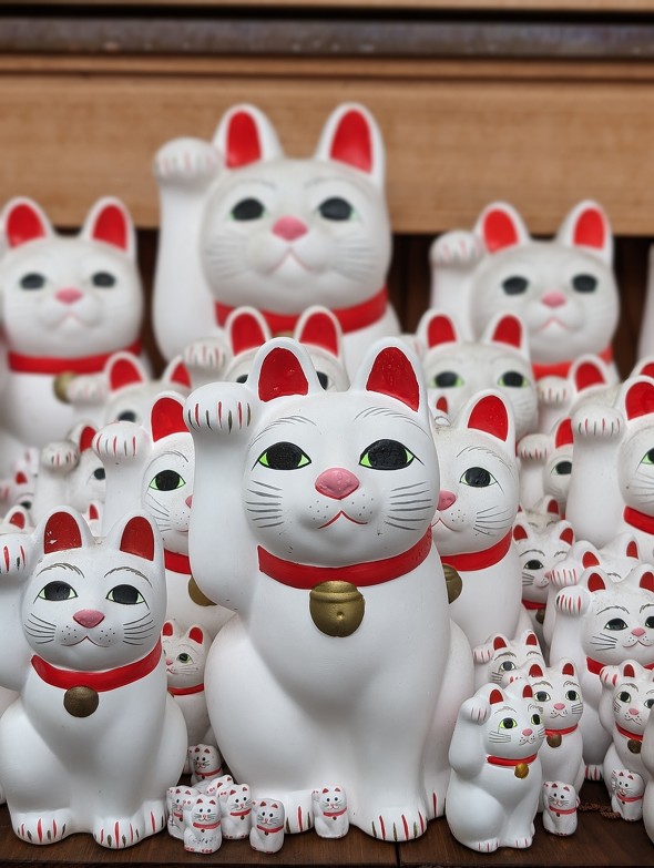 Google Pixel 8^8 ProJr[