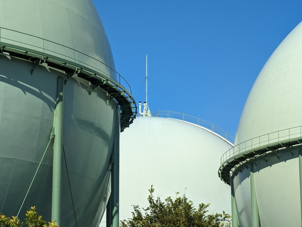 Google Pixel 8^8 ProJr[