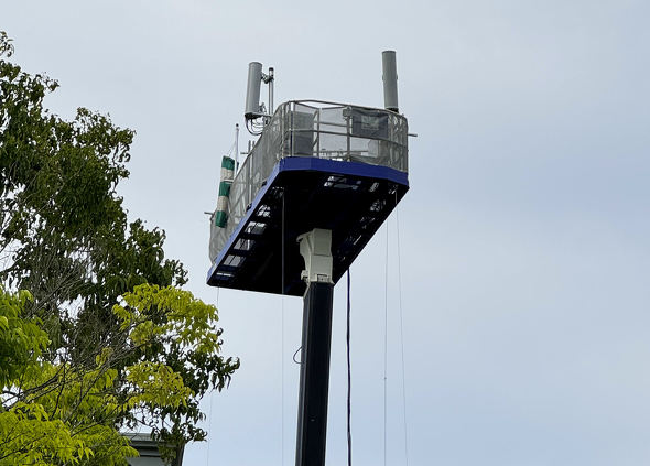 Pokemon GO Fest 2024F