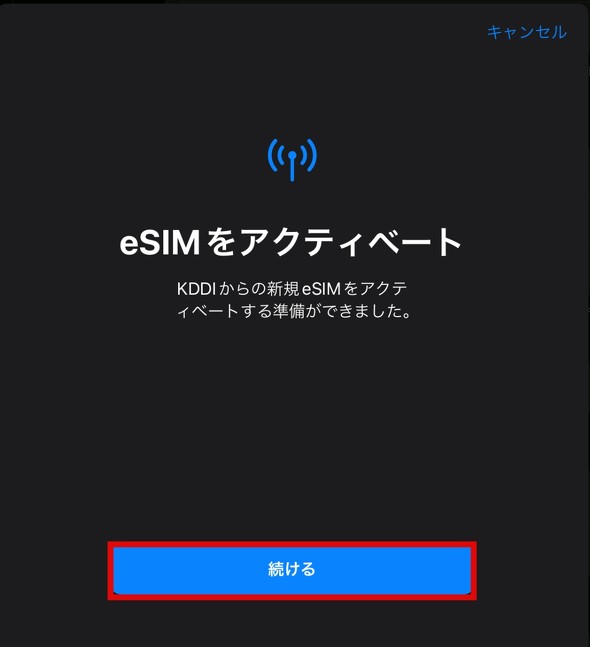 eSIM iPad